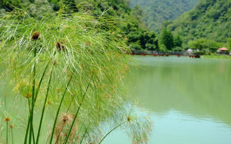 https://www.huago.tw/wp-content/uploads/2019/12/1575443465-819122314-770x480.jpg