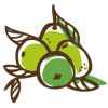 https://www.huago.tw/wp-content/uploads/2019/12/1575446242-157562255-100x100.png